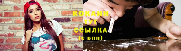 гашик Волосово