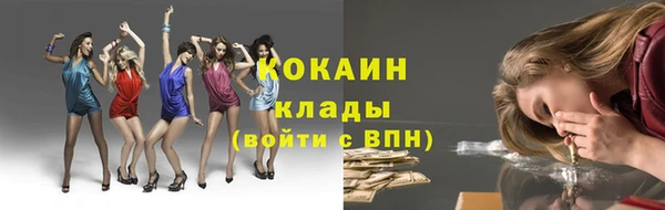 spice Верея