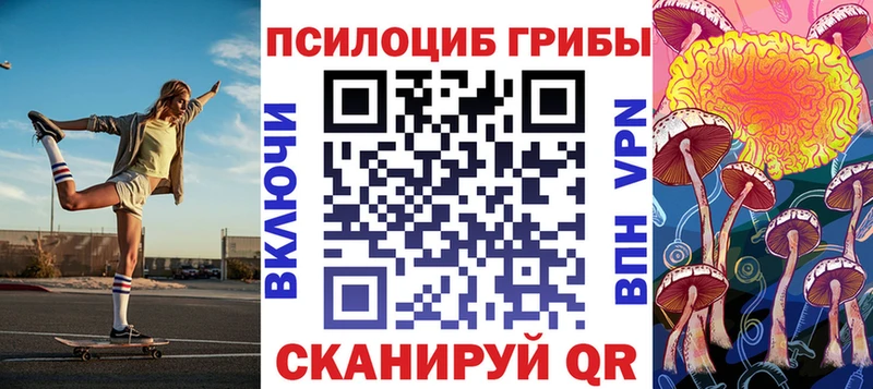 купить наркоту  сайты даркнета наркотические препараты  Псилоцибиновые грибы Cubensis  Игарка 